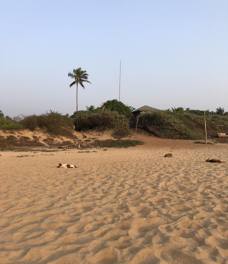 Peravel Beach Holiday Home Candolim Bagian luar foto